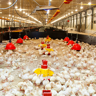 Hatchery Diesel Tank Radar Level Transmitter