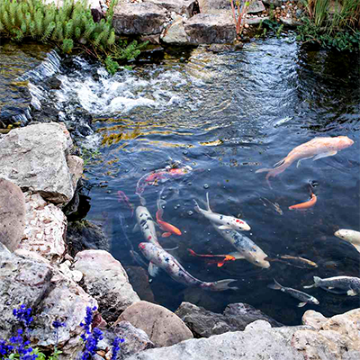Water Retention Pond Vault Ultrasonic Level Transmitter
