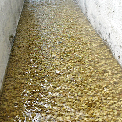 Transmetteur de niveau de liquide ultrasonique pour réservoir d'eaux usées de café