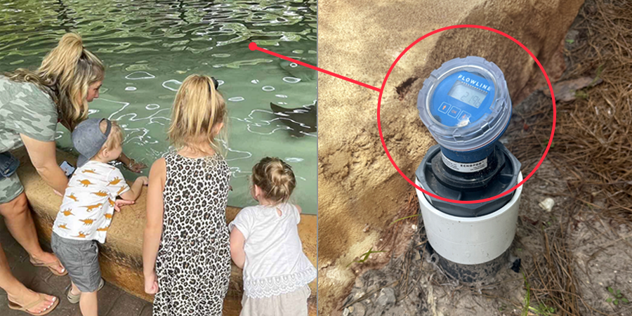 Jacksonville Zoo Pool Exhibit Ultrasonic Level Measurement